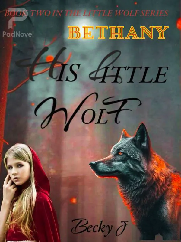 Bethany: His Little Wolf novel cover