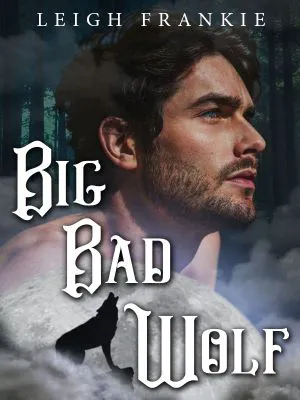 Big Bad Wolf novel cover