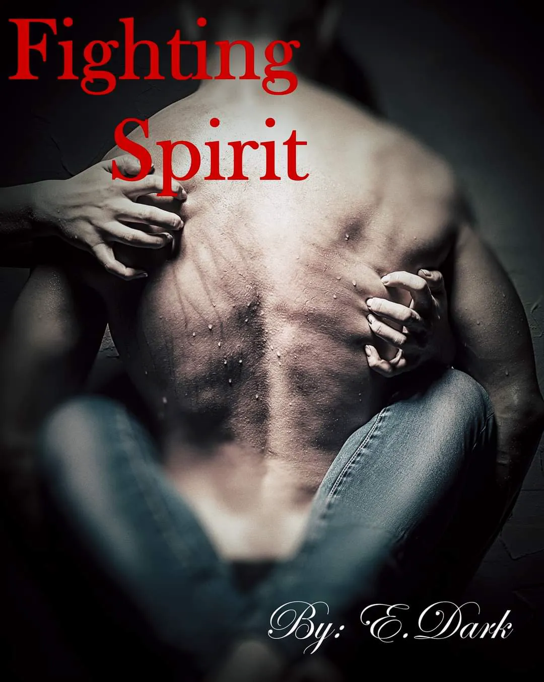Fighting Spirit Series novel cover