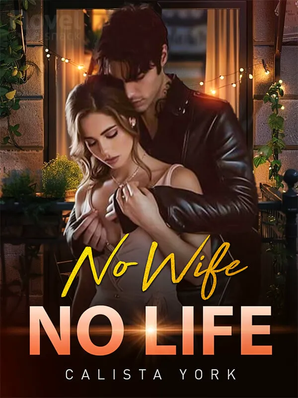 No Wife, No Life novel cover