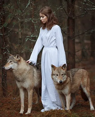 The Wolf Prophies novel cover