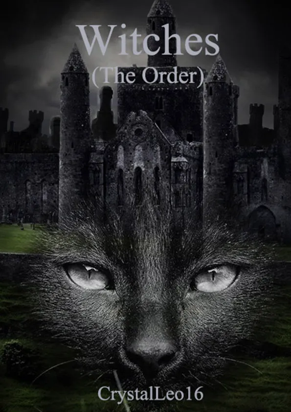 Witches (The Order) novel cover