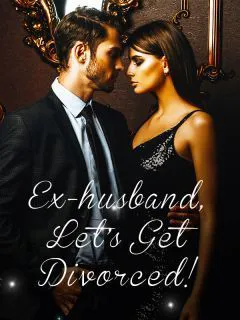Ex-husband, Let's Get Divorced! novel cover