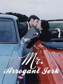 Mr. Arrogant Jerk novel cover