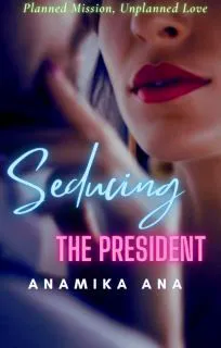 Seducing The President novel cover