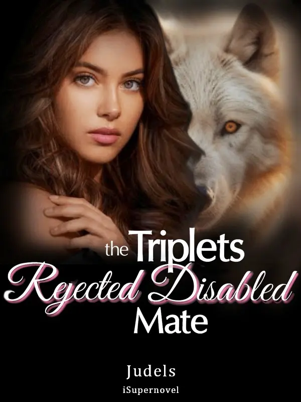 The Triplets' Rejected Disabled Mate novel cover