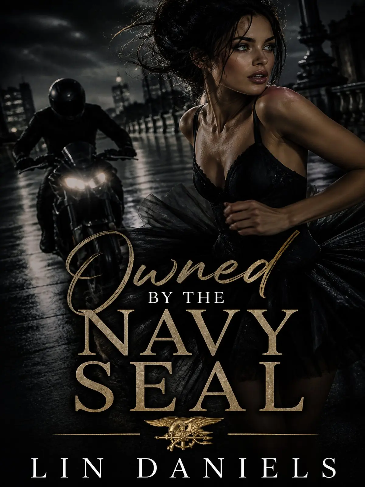 Owned by the Navy Seal novel cover