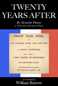 Twenty years after novel cover