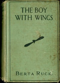 The Boy with Wings novel cover
